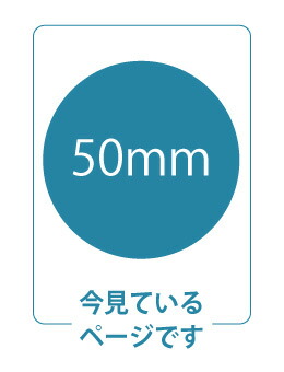 ドラレコ ステッカー サイズ50mm