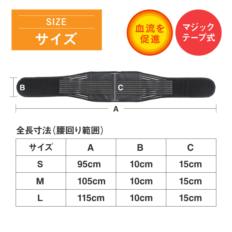 【おまとめ割引あり】分析からアジャストまで腰痛マスター【腰椎骨盤編】 おまとめ割引あり】分析からアジャストまで腰痛マスター【腰椎
