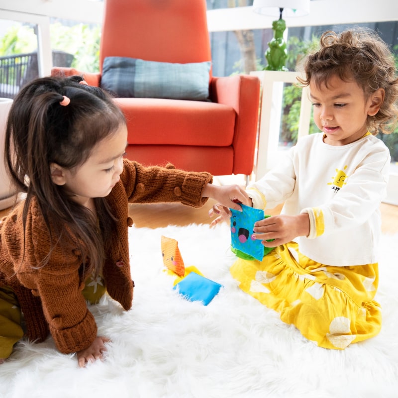 ラーニング・リソーシズ Learning Resources【感情を学ぶ ビーンバッグ