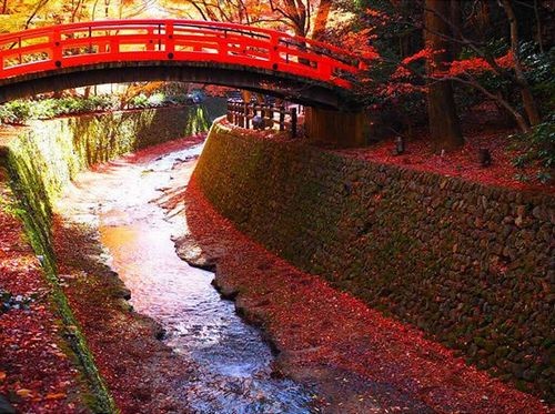 マイセン 水辺の花 コーヒーカップ ソーサー 235 No 8 Ms 輸入洋食器店アイン 通販 Yahoo ショッピング