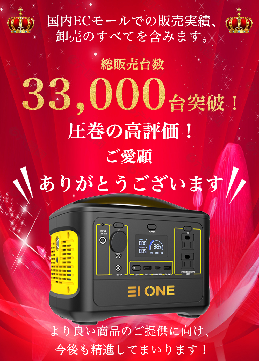 EIONE (エイワン) ポータブル電源 600W 瞬間最大1000W 150000mAh/540Wh