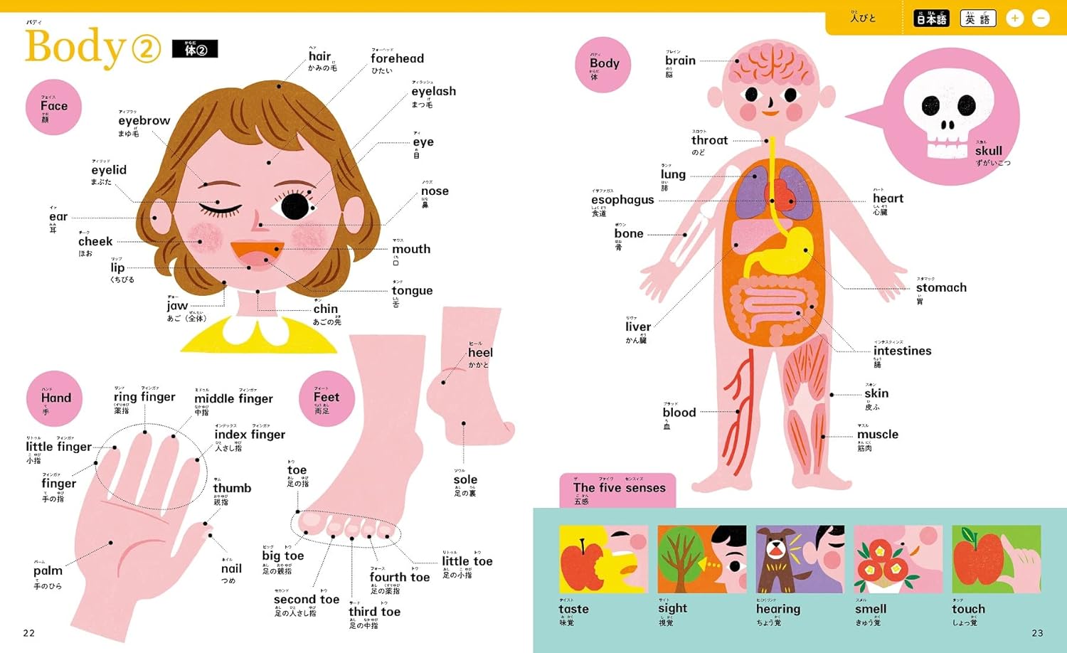 絵本 知育絵本 図鑑