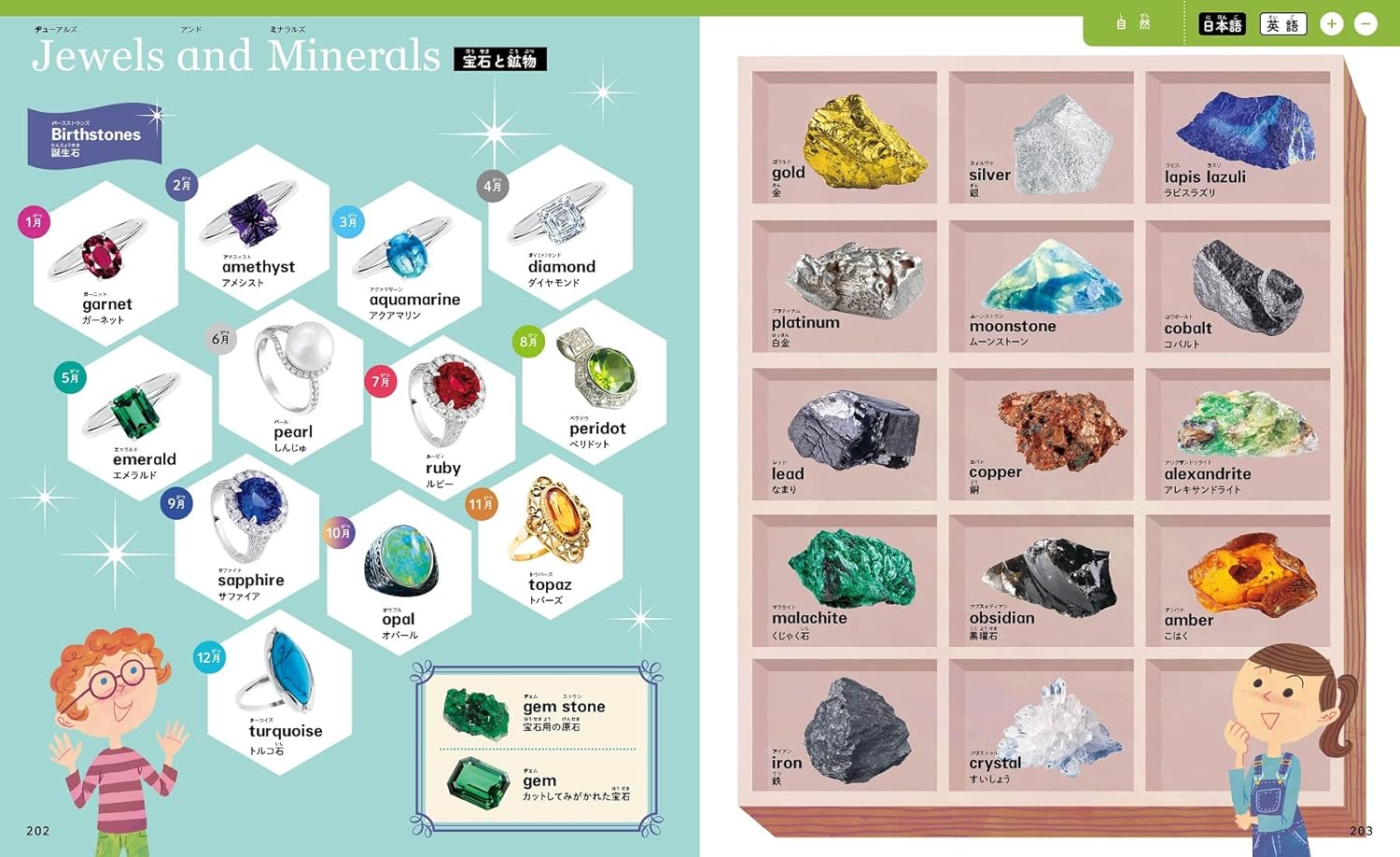 絵本 知育絵本 図鑑