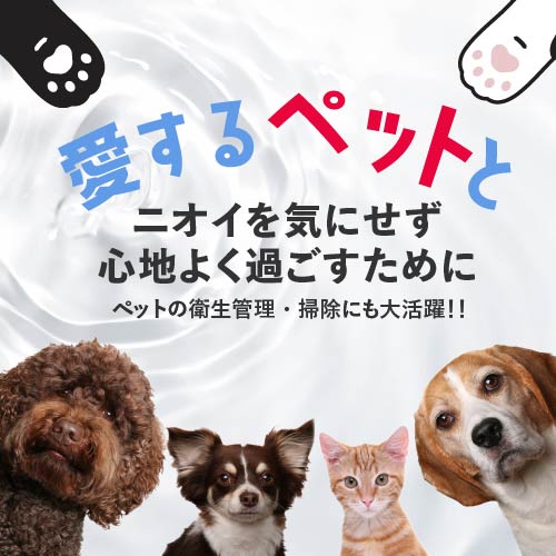 次亜塩素酸水 スプレー 500mL ジアニスト 原液 500ppm 除菌 消臭 中身入り 関連画像2