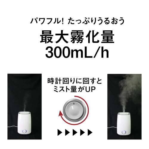 次亜塩素酸水 対応 加湿器 超音波式 卓上 大容量 4リットルタンク ジアニスト 噴霧器