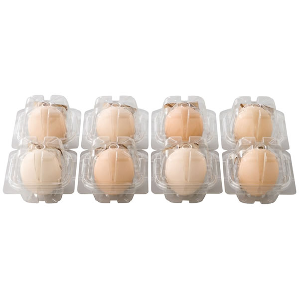 【送料無料】北坂たまご　北坂たまご　たまごまるごとプリン　ＫＰ−Ｒ８【ギフト館】