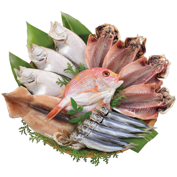 【送料無料】海匠國近　海匠國近　魚急便　Ｋ−１【ギフト館】