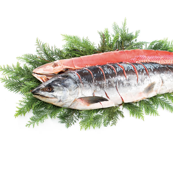 【送料無料】新巻鮭姿切身 AR−C17(F)【ギフト館】