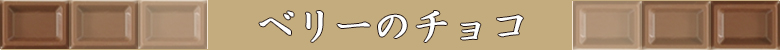 チョコレート特集/ベリーのチョコ