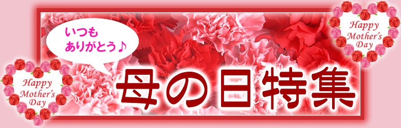 母の日特集