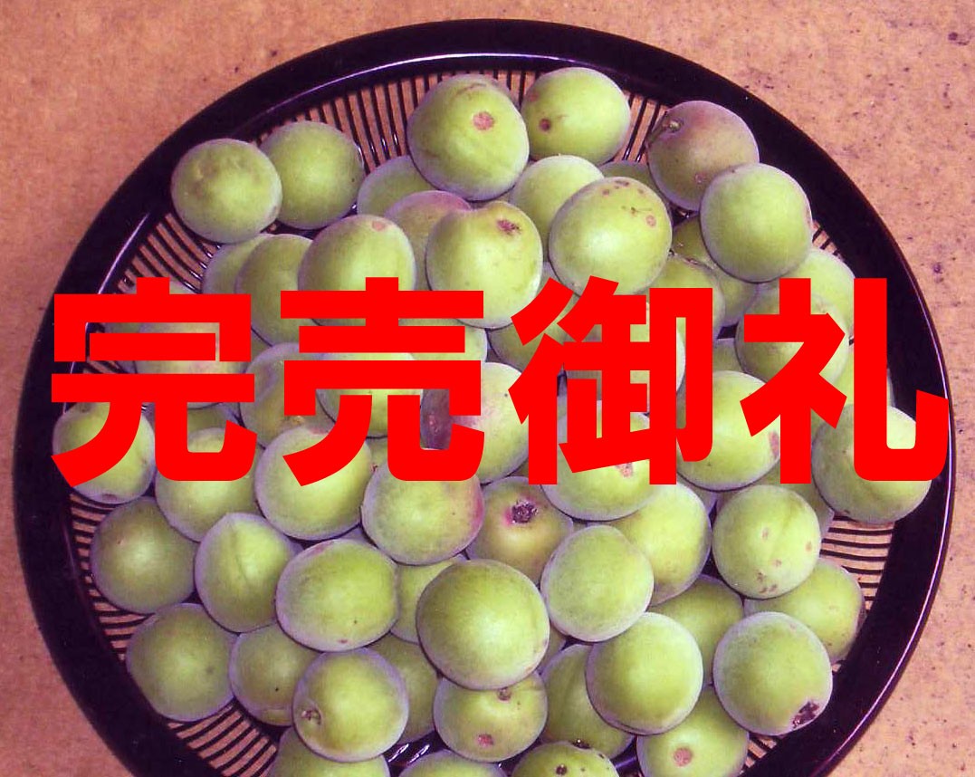 青梅