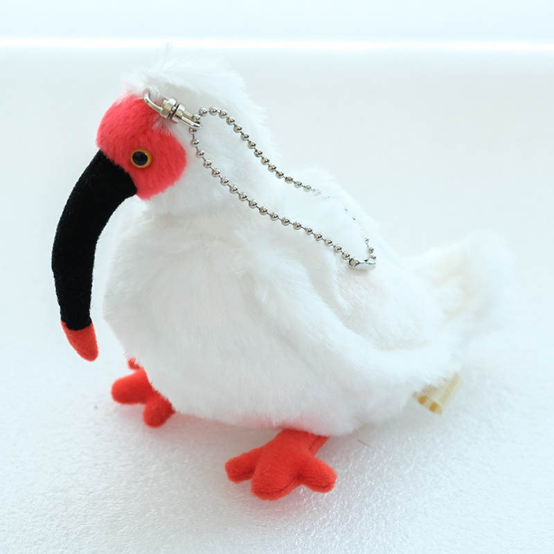 Plastic Tree 十色定理 完全生産限定盤 知恵の輪付キーホルダー Plastic Tree | 十色定理(完全生産限定盤) | ビクター