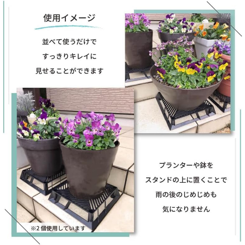 DAIM ブラックベース 24cm 10個セット カーメン君コラボ