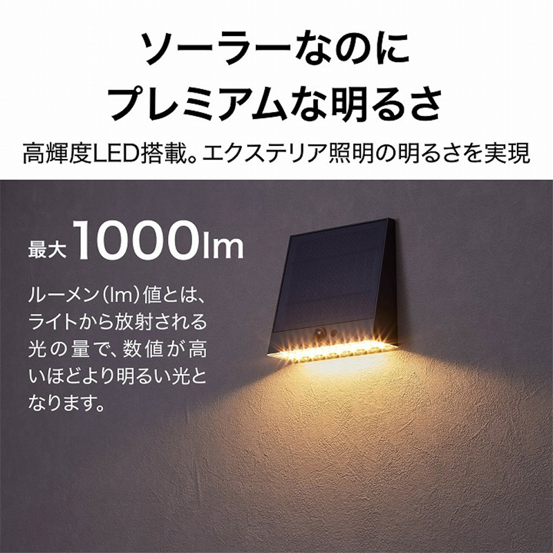 ローボルト ランタンライト セット LGL-S08 4975149602537