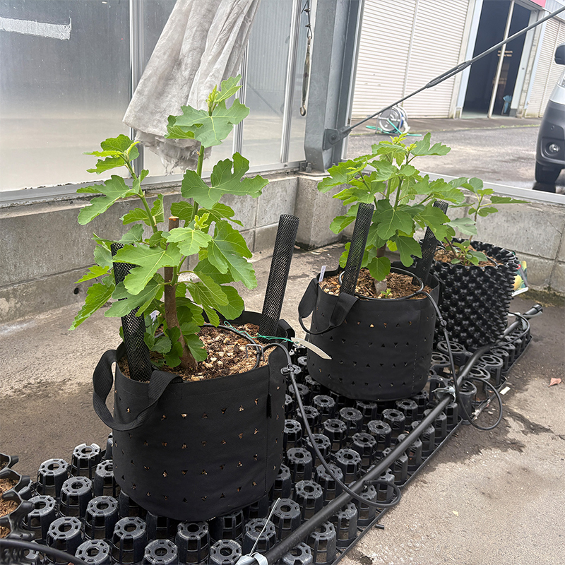 南榮工業（NAN-A） ミライポット ブラック 6号 3.6L MIRAI POT 植木鉢