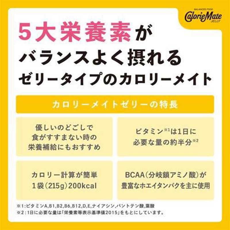 まとめ売り、カロリーメイト4本入り42箱。inゼリー12個 大塚製薬 【24個セット】大塚製薬 カロリーメイトゼリー