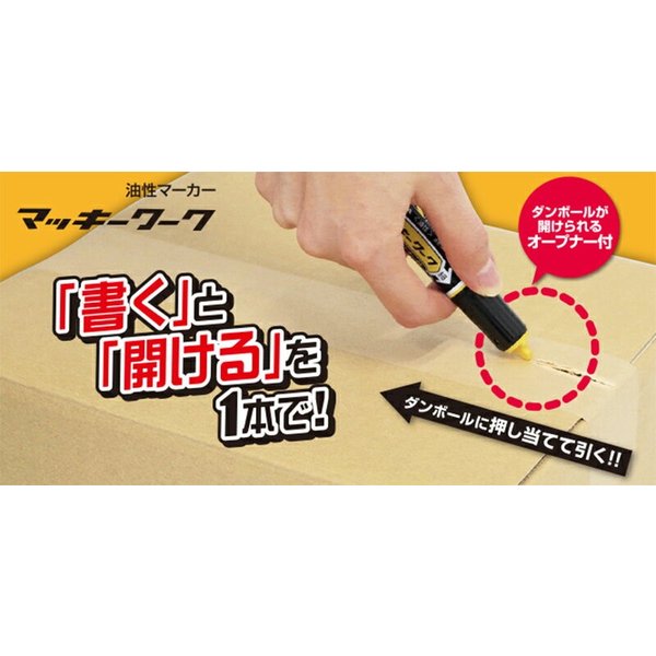 ZEBRA 油性マーカー マッキーワーク 黒 細/太両用 P-YYT21-BK ゼブラ