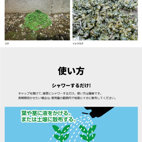 ネコソギ　2個セット レインボー薬品 ネコソギロングシャワーV9 4L 除草剤
