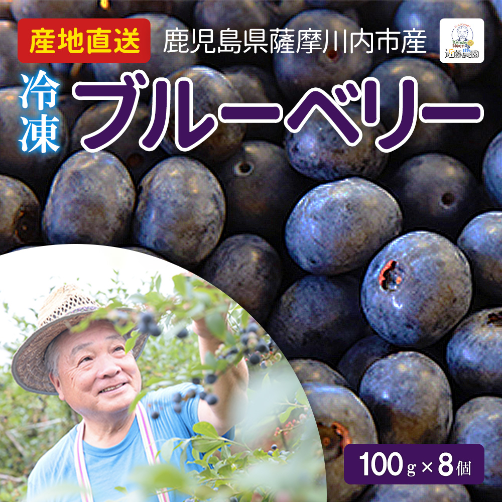 送料無料 国産 鹿児島 冷凍ブルーベリー 100g × 8個セット 近藤