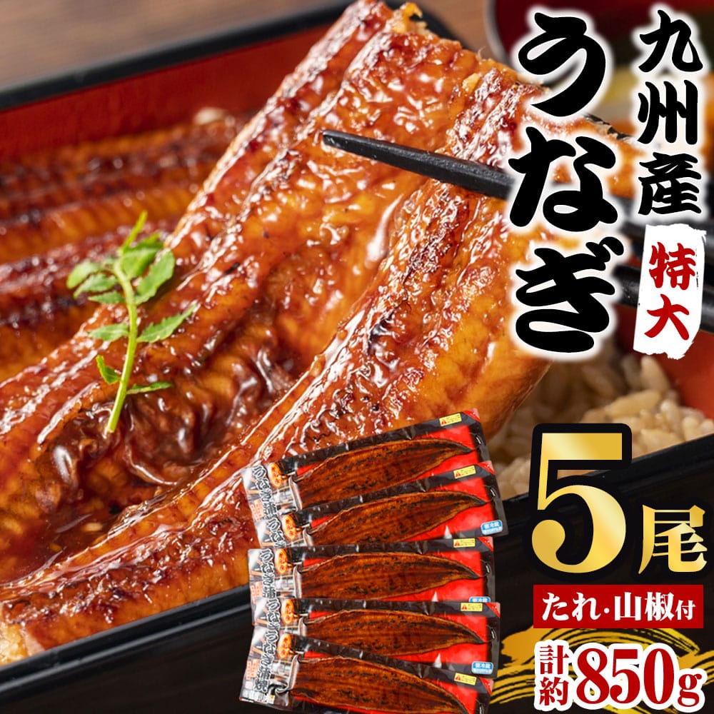 お得用 国産うなぎ蒲焼150g×6尾入 1尾当り2400円簡易包装 冷凍発送 お得用 国産うなぎ蒲焼150g×6尾入 1尾当り2400円簡易包装 冷凍発送
