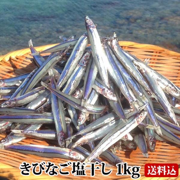 甑島のきびなご塩干し 1kg(500g×2) 鹿児島産 国産 こしき島