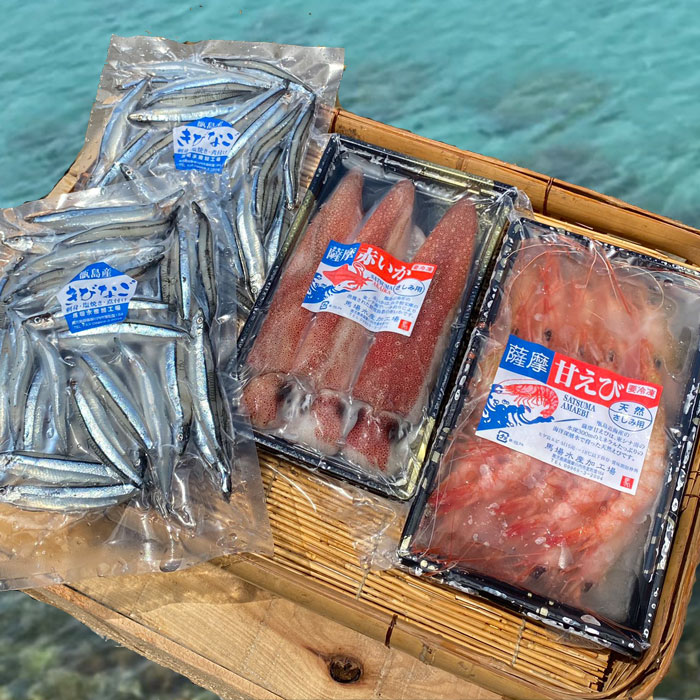 送料無料 ギフト 甑島のお刺身セット（えび・いか・きびなご