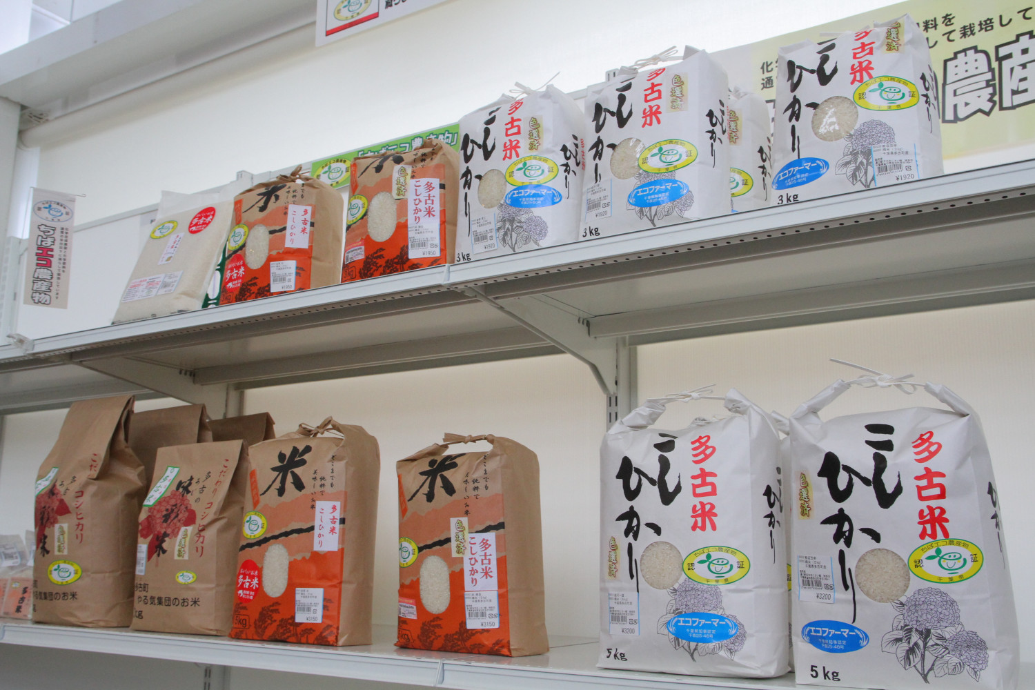 コシヒカリ　30キロ　未精米　古米 楽天市場】コシヒカリ 玄米 30kg 塩むすびで食べて♪厳選した生産者