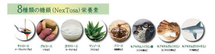 NexTosa(ネクストーサ)8種類の糖鎖栄養素
