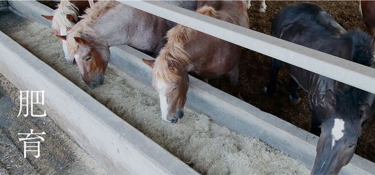 ふじ馬刺し詰合せ