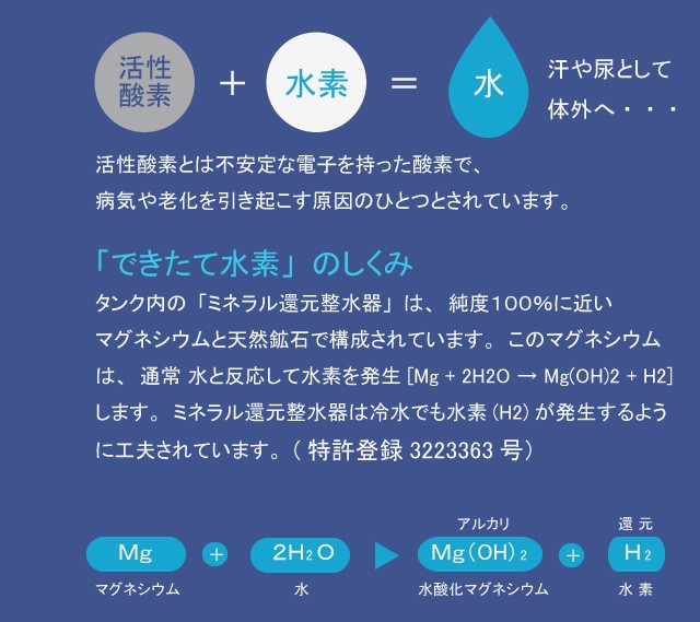 マグスティックネオ 12L タンクタイプ 水素水 アルカリ還元水 株式会社