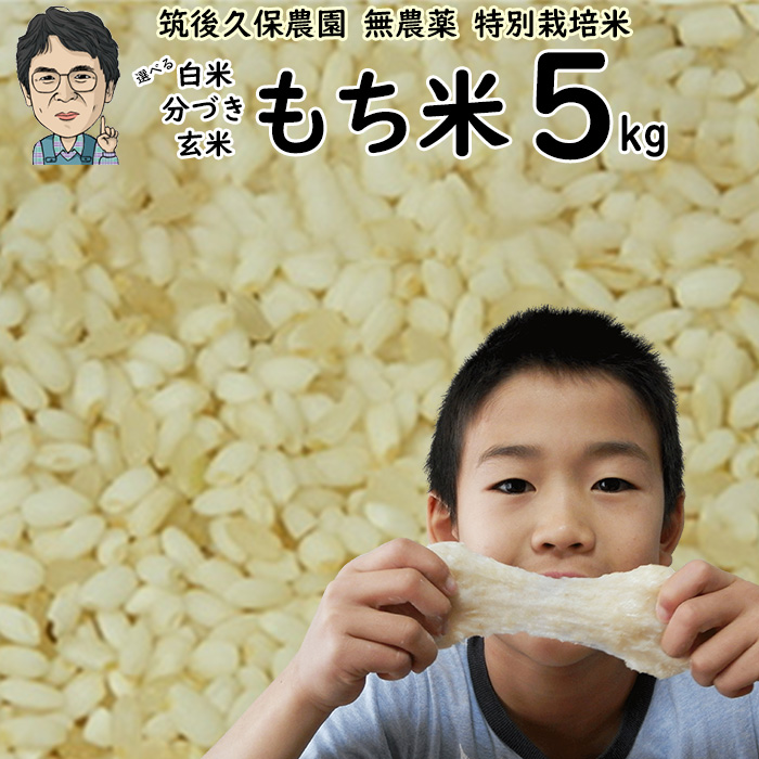 ヒヨクモチ 無農薬 特別栽培米 もち米 5Kg 栽培中 無肥料 福岡県産 令