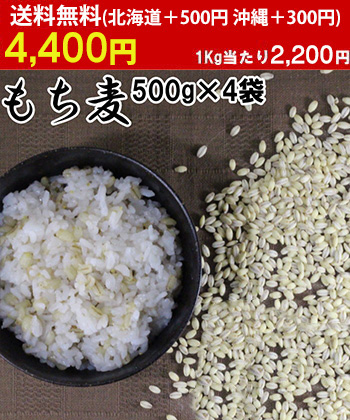もち麦 450g | ポスト投函専用 大麦 くすもち二条 無農薬 福岡県産 