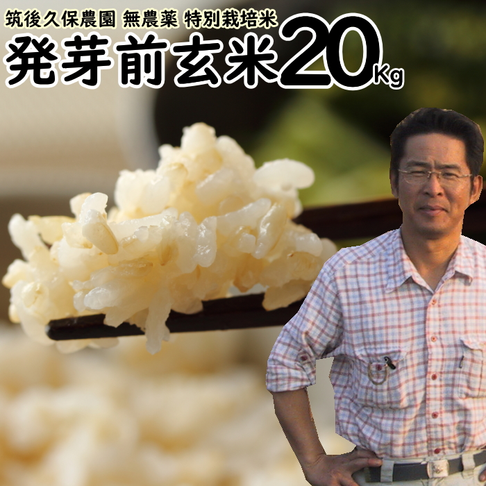 無農薬 発芽前玄米 20kg 栽培中 無肥料 特別栽培米 筑後久保農園 令和7