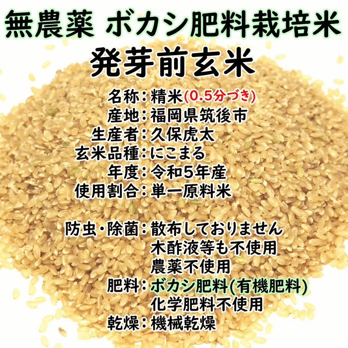 無農薬 ボカシ肥料 発芽前玄米 10Kg 福岡県産 夢つくし 自然栽培米 米