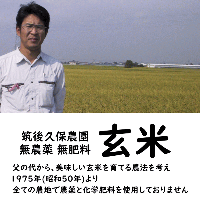 無農薬 無肥料 栽培米 20Kg | 玄米 福岡県産 令和5年度産 夢つくし