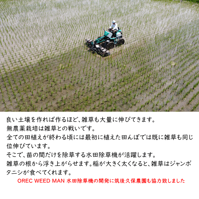 無農薬 無肥料 栽培米 20Kg | 玄米 福岡県産 令和5年度産 夢つくし