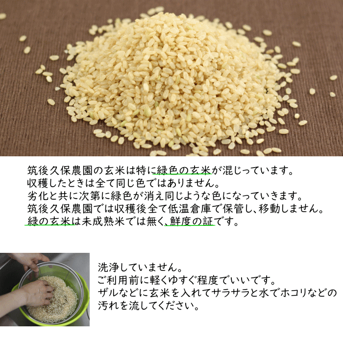 無農薬 無肥料 栽培米 5Kg//玄米 | 福岡県産 にこまる 筑後久保農園 