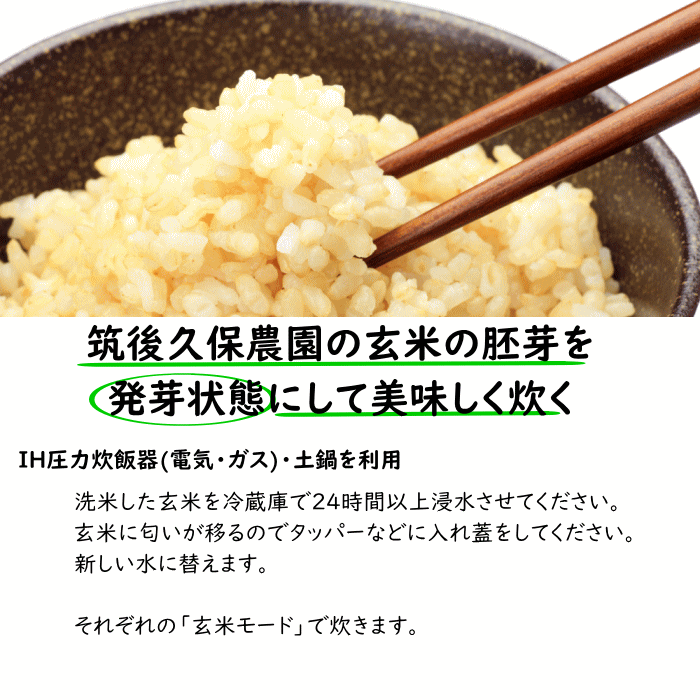 無農薬 無肥料 栽培米 5Kg//玄米 | 福岡県産 夢つくし 筑後久保農園 自然栽培米 :21000305:福岡江久母 - 通販 -  Yahoo!ショッピング