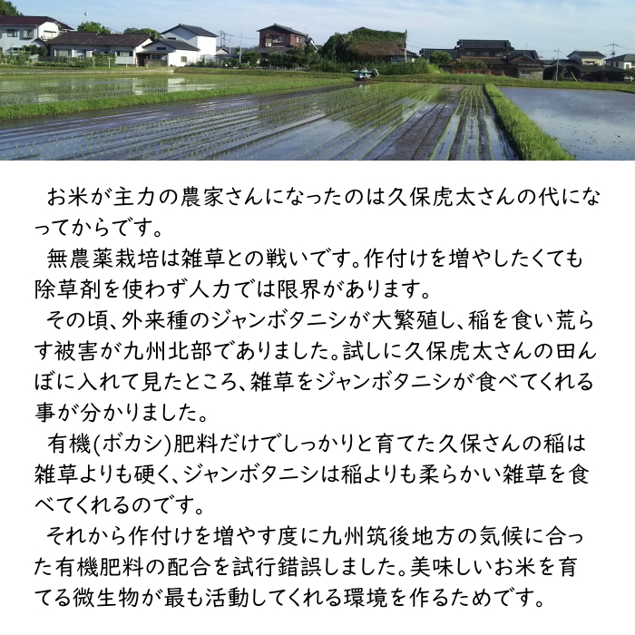 無農薬 玄米 10Kg 栽培中 無肥料 特別栽培米 筑後久保農園 令和6年度産 福岡県産 元気つくし : 21000310 : 福岡江久母 - 通販  - Yahoo!ショッピング