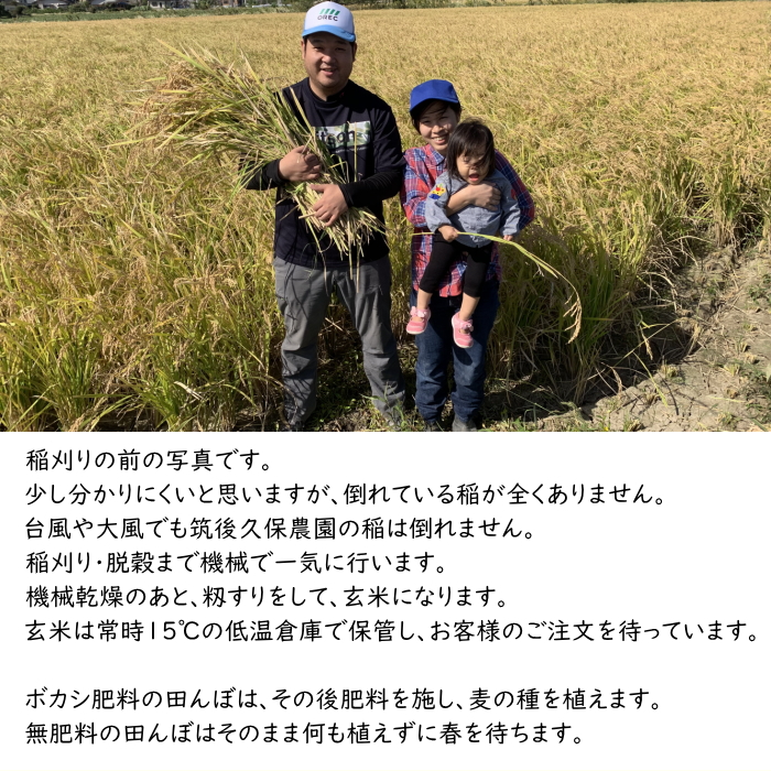 無農薬 玄米 10Kg 栽培中 無肥料 特別栽培米 筑後久保農園 令和6 無農薬 玄米 10Kg 栽培中 無肥料 特別栽培米 筑後久保農園 令和6
