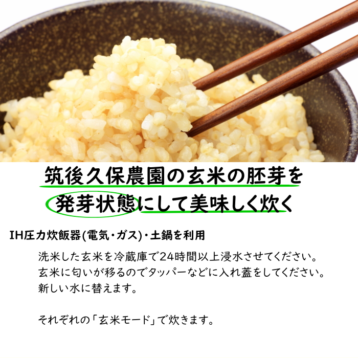 無農薬 玄米 10Kg 栽培中 無肥料 特別栽培米 筑後久保農園 令和6年度産 福岡県産 元気つくし : 21000310 : 福岡江久母 - 通販  - Yahoo!ショッピング