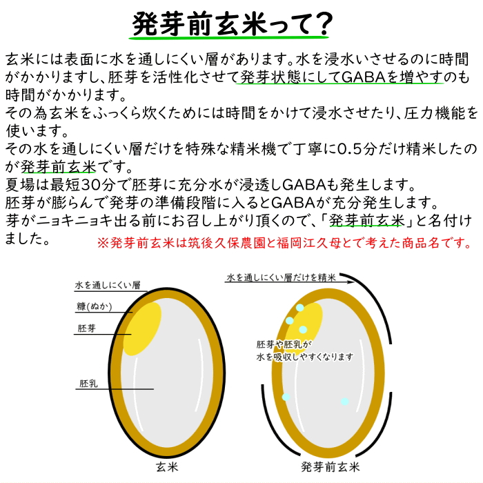 無農薬 発芽前玄米 5Kg 栽培中 無肥料 特別栽培米 筑後久保農園 令和6年度産 福岡県産 夢つくし : 21000405 : 福岡江久母 - 通販  - Yahoo!ショッピング