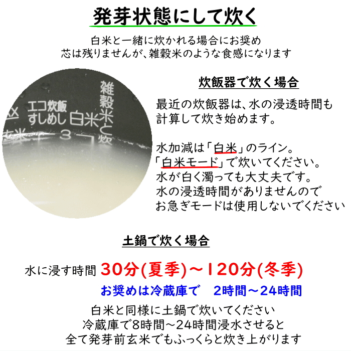 無農薬 発芽前玄米 5Kg 栽培中 無肥料 特別栽培米 筑後久保農園 令和6年度産 福岡県産 夢つくし : 21000405 : 福岡江久母 - 通販  - Yahoo!ショッピング