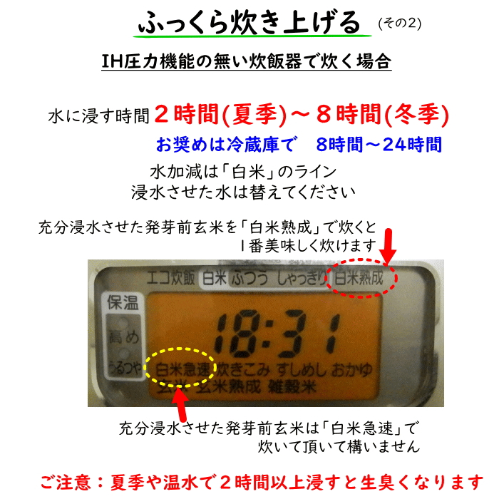 無農薬 発芽前玄米 10Kg 栽培中 無肥料 特別栽培米 筑後久保農園