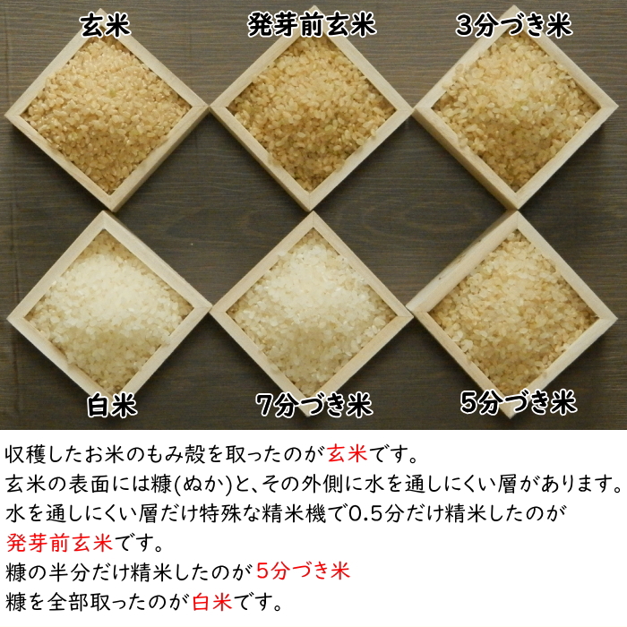 楽天市場】米 10kg 一等米 ななつぼし 北海道産 玄米 (5kg×真空