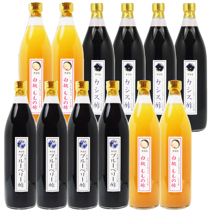 業務用 選べる くだもの酢 900ml 12本 ブルーベリー酢 カフェ 居酒屋 サワー コンク 美容系サロン リラクゼーションの画像