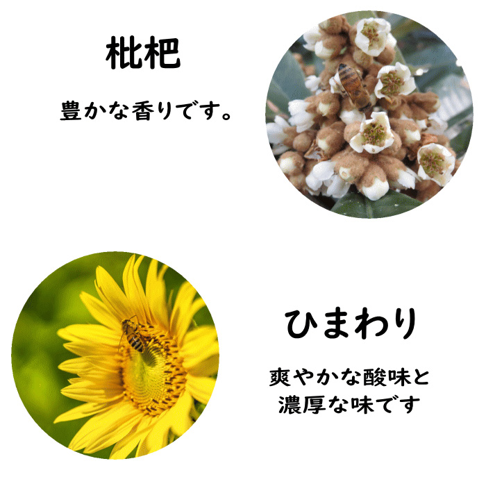 九州産 蜂蜜 500g 国産 百花密 ハチミツ 北部九州だけで採取され