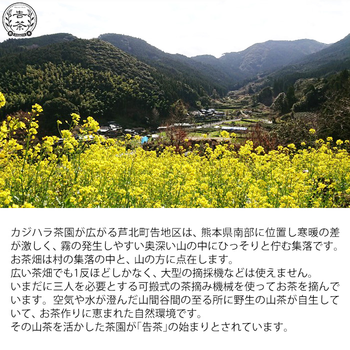 芦北町告地区