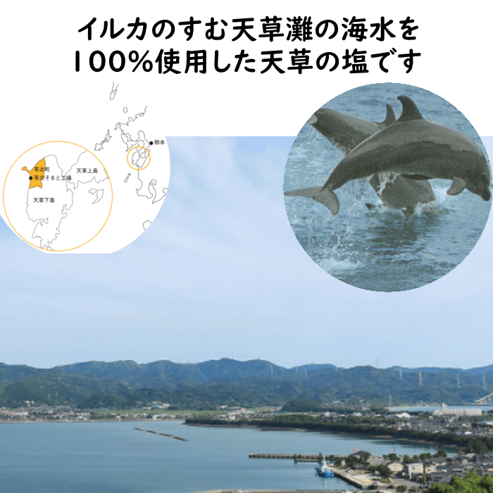 天草の塩 さらさら 1Kg | メール便ポスト投函 九電産業 平釜製法 淡い甘味 深い苦み 微かな酸味 サラサラとしたタイプ かけ塩 付け塩 に最適  :93100201:福岡江久母 - 通販 - Yahoo!ショッピング