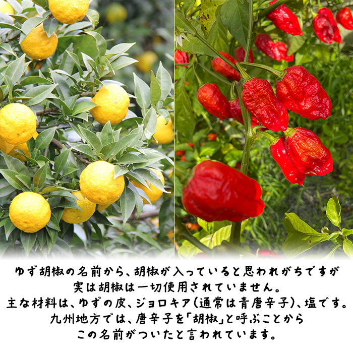 柚子胡椒の主な原料は、柚子の皮、ジョロキア(通常は青唐辛子)、塩のみで胡椒は一切入っていません。